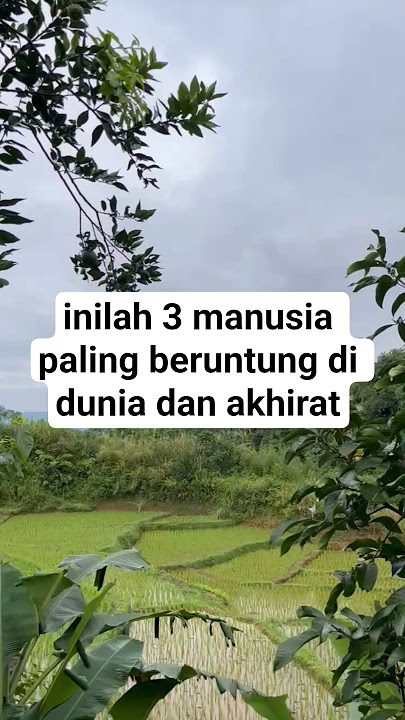 inilah 3 manusia paling beruntung di dunia dan akhirat #shorts#viralshorts#dakwahislami#pesawahan