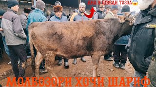 😱НАРХИ ВАЗНИ ЗИНДА ПОИН РАФТ😱.МОЛБОЗОРИ ХОЧИ ШАРИФ.  9 января 2026 г
