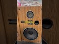 Pioneer CS-G203 #pioneer #music #speaker