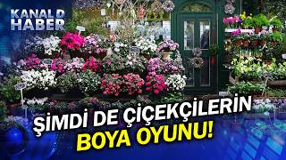 Pazarcılardan Sonra Şimdi De Çiçekçilerin Boya Oyunu Beyaz Papatyayı Mor Gibi Gösterdi