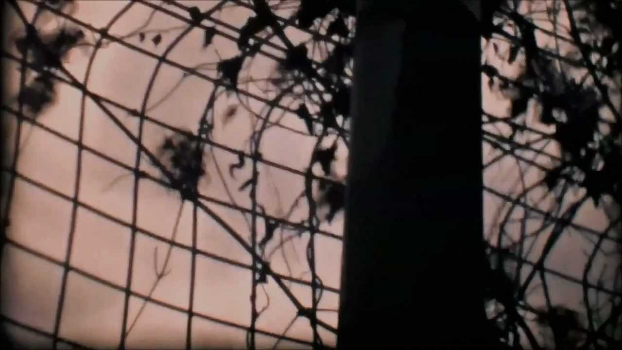 Felix Lorusso - Echo Heads Movement