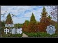 《賈文青比你愛台灣》嘉義縣中埔鄉：小孩放電就去粉牛樂園與獨角仙休閒農場，深山裡的中崙泥漿溫泉也不要錯過！