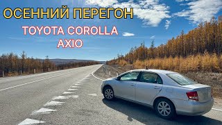 видео: TOYOTA COROLLA осенний перегон картинка: TOYOTA COROLLA осенний перегон