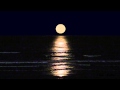 Relaxing Moon Set Over Ocean Beach with Surf Sounds, 1 Hour (Newport, Oregon)