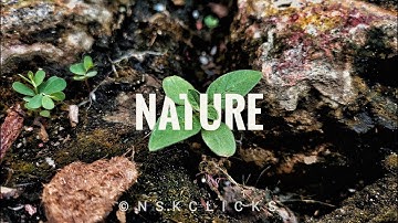 How to place text behind an object - Snapseed Editing Tutorial | Snapseed 3D Text Editing #nskclicks