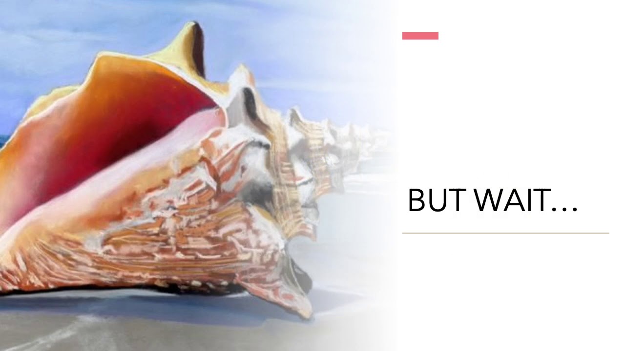 Piggy personality in lord of the flies picture