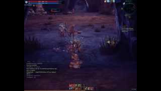 Tera - Archer - Low fps.
