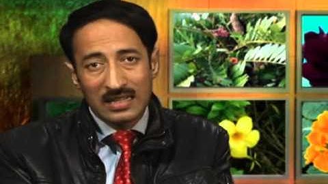 Salient features of classification system by Engler & Prantl