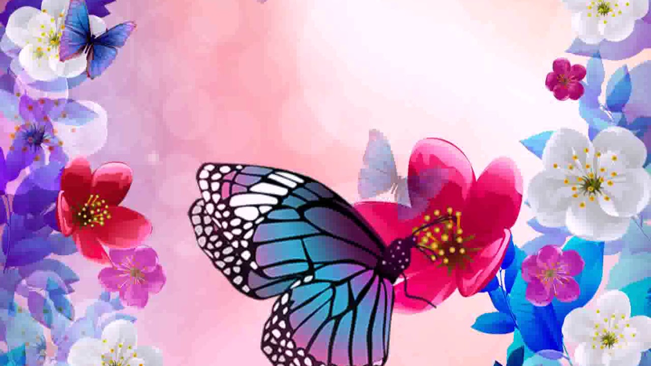 [Samsung ThemeLive Wallpaper] fantastic flower garden YouTube