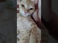 so sweet