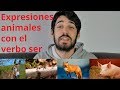 Expresiones animales con el verbo ser