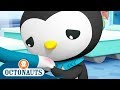 Octonauts - Peso Saves The Day | Cartoons for Kids | Underwater Sea Education