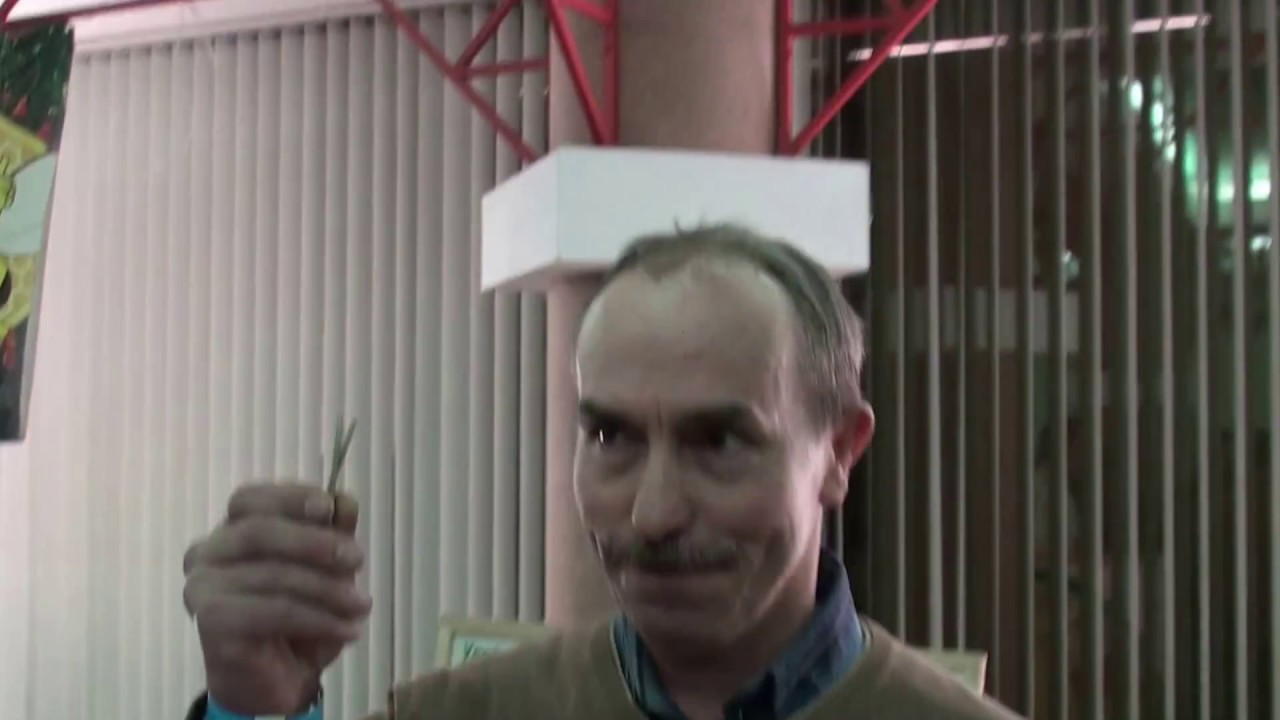 Корпус улья из пенополистирола изготовьте сами.