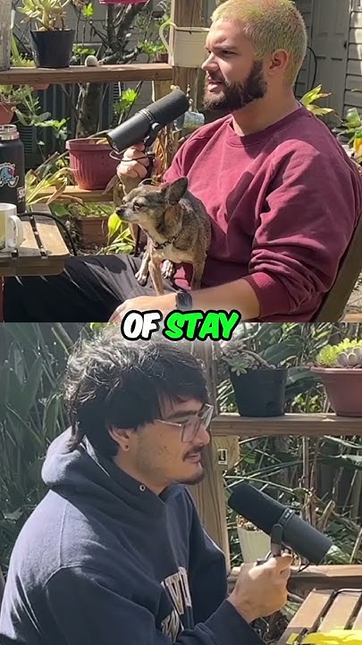 we-talked-to-the-most-famous-dog-on-the-internet-youtube