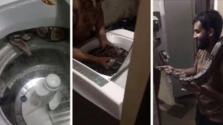 Woman Finds Seven Foot Snake In Washing Machine