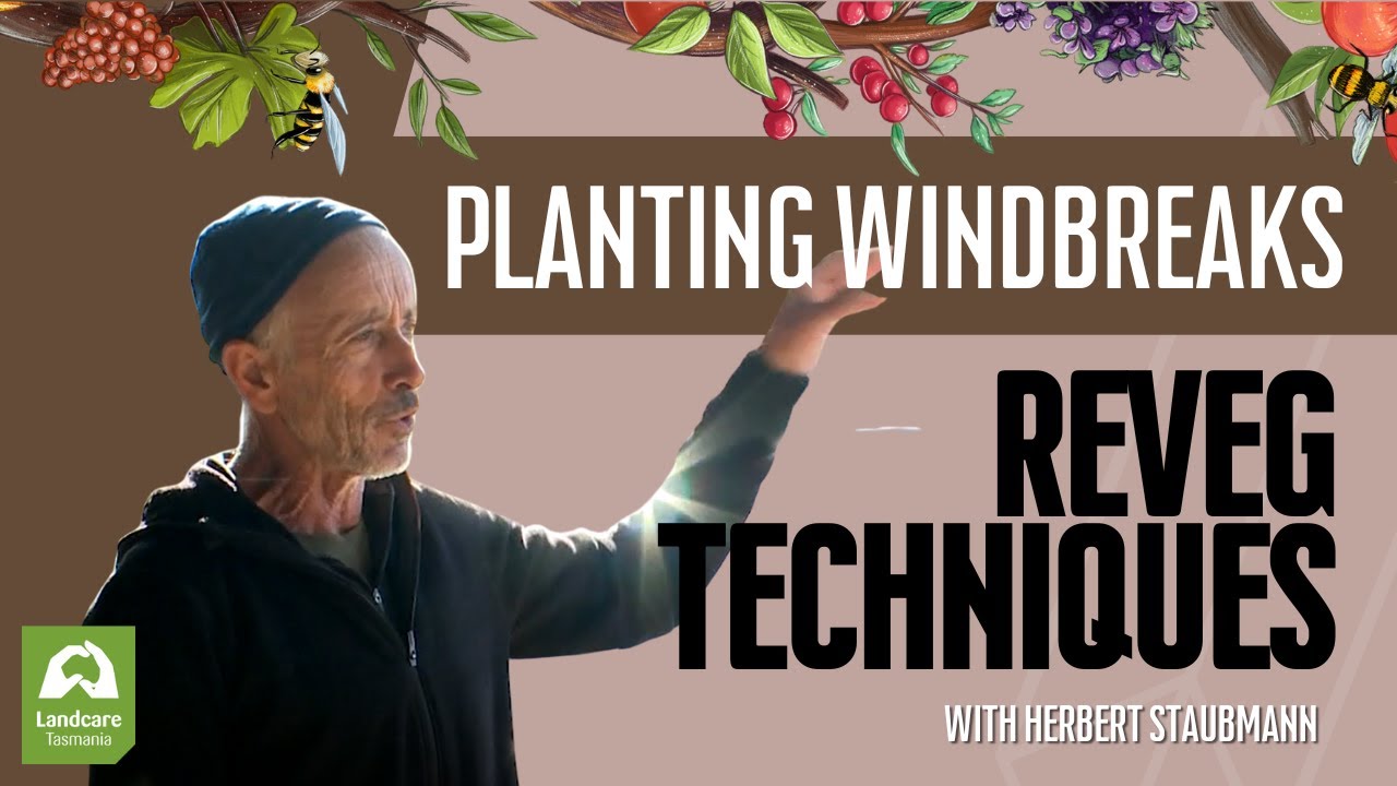 PLANTING WINDBREAKS - Revegetation Techniques with Herbert Staubmann