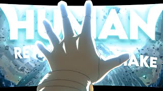 Free Project File Retuurn Remake My Hero Academia - Humans Amv-Edit 4K 60Fps