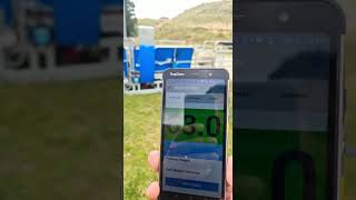 Weighing Sheep Automatically With Te Pari's Wireless Weigh Scale