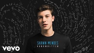 Video thumbnail of "Shawn Mendes - Never Be Alone (Official Audio)"