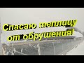 Спасаю теплицу от обрушения!