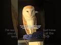 have you just look at the brown in Her eyes?! try ut hooty, you can see heaven 😭🥹🦉 #heaven #dream