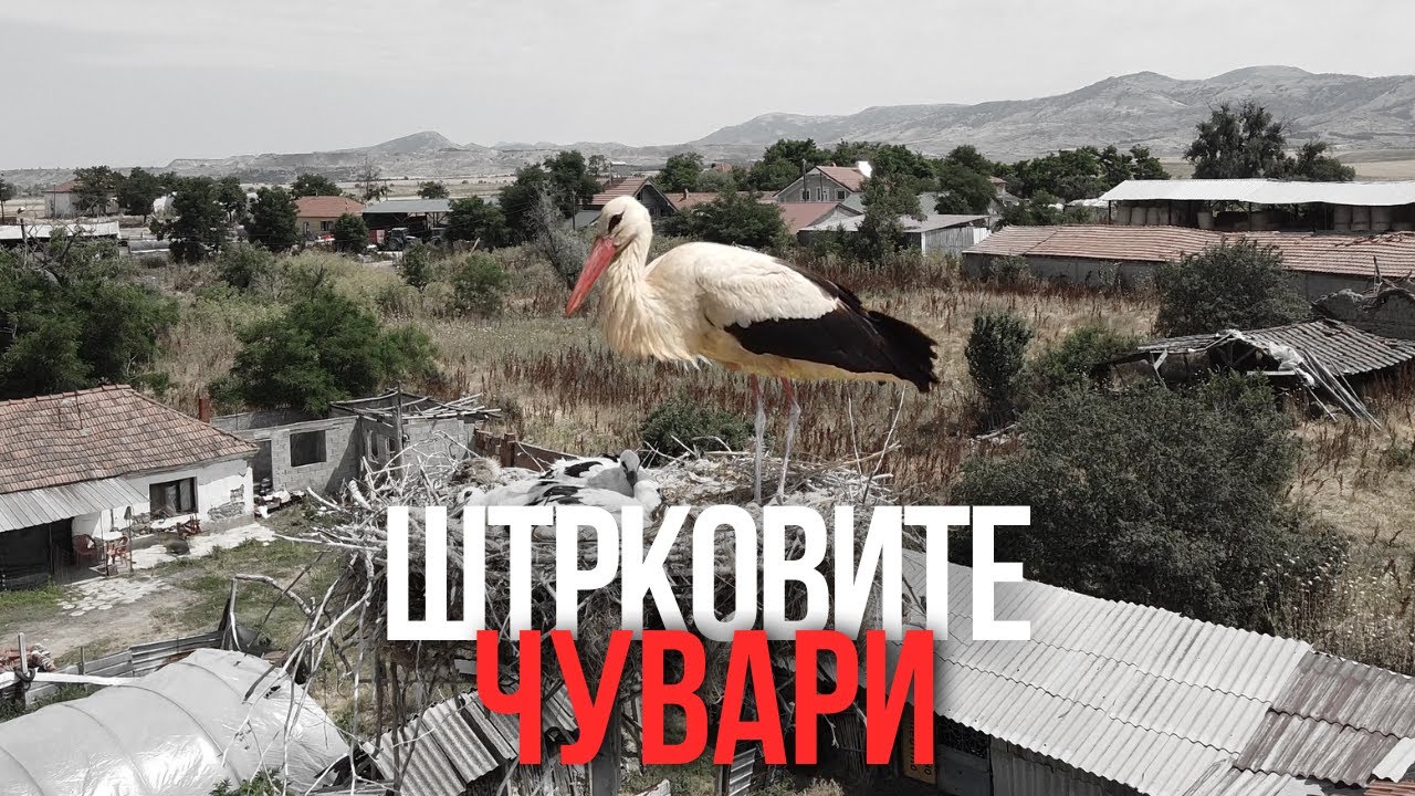 Селото на штрковите - Гнеотино | ЕП27