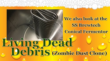 SS Brewtech Conical Fermentor Review & Brew