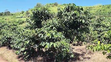 5 lô f0 trên 1000m2 sẵn 200m thổ cư giá chỉ 1 tỉ 350 triệu/ lô đất Nam hà