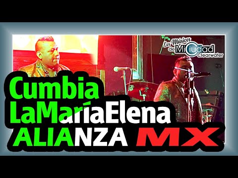 "La María Elena" Grupo Alianza MX (cover en vivo)