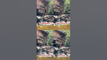 Treino para viagens! Fazer 40 segundos de movimento e 20 segundos de descanso. De 3 a 6 séries!