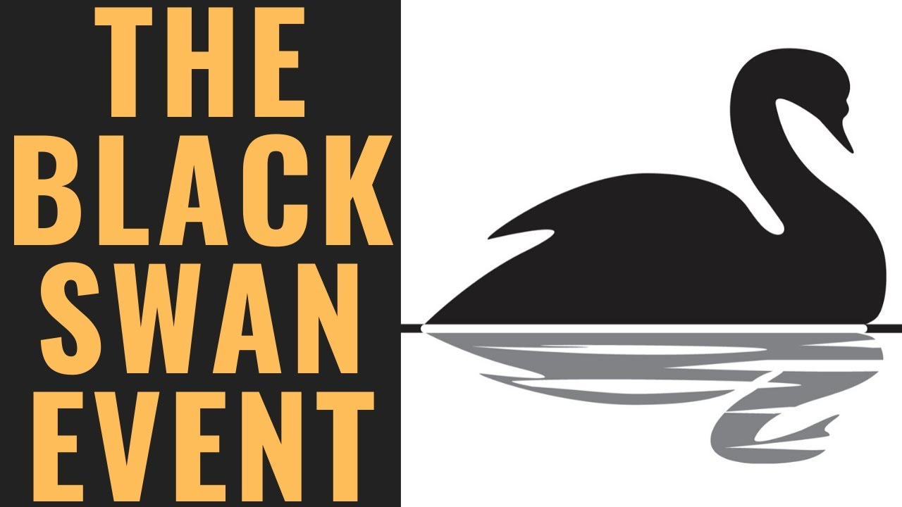 The Black Swan Event YouTube