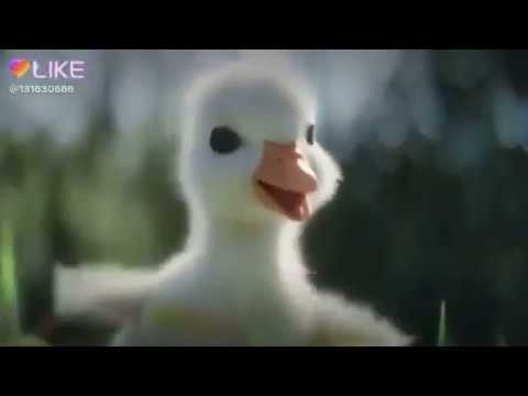 Tik Tok Video : Donald Duck - YouTube