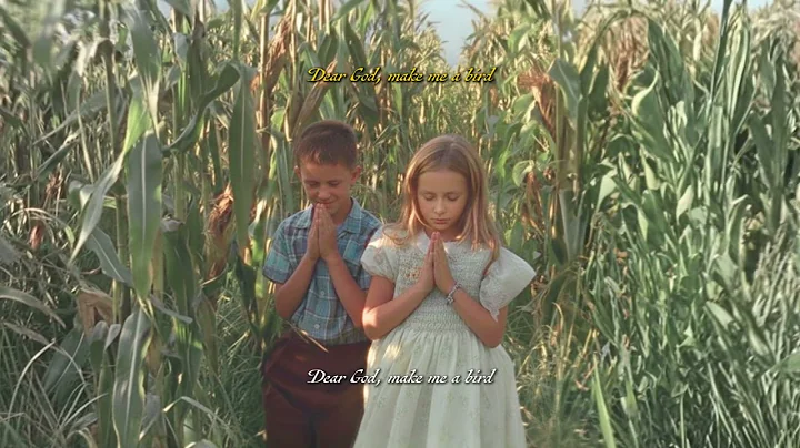 Dear God, make me a bird so I could fly far, far away from here. - OPPAGUMP