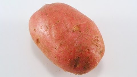 Raynbow High Speed Red Potato Sorting | Raytec Vision