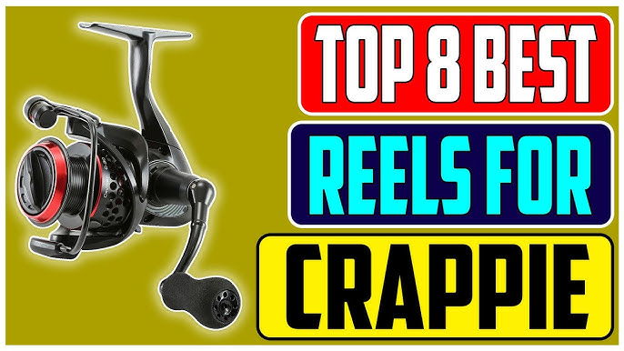 Best Crappie Reels 2024 - Top 5 Best Reels For Crappie Fishing