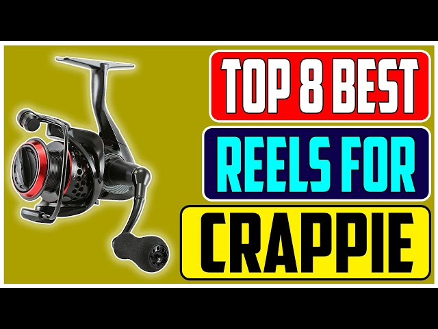 Our Experts' Top Picks for the Best Spinning Reel for Crappie Fishing 