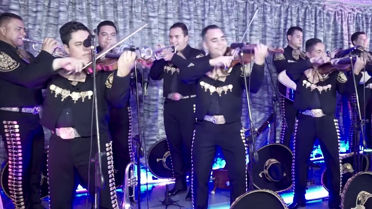 Flor Palida  Mariachi Estrella dé México