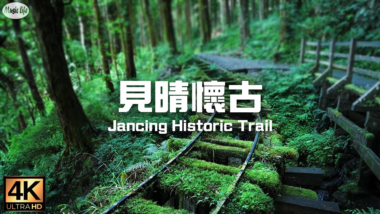 森林療癒系4 🌳最美的步道 見晴懷古步道 空拍台灣山雲海風景與放鬆抒情鋼琴曲Taipingshan Forest & Jancing Historic Trail  Relax Piano Music