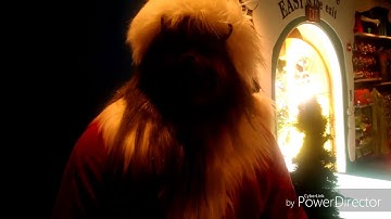 GRINCHMAS Island of Adventure Seuss Landing Universal Studios and meeting the Grinch