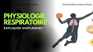 Physiologie Respiratoire Expliquée Simplement