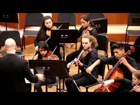 2016-06-02 Concert Orchestra - Andante for Strings