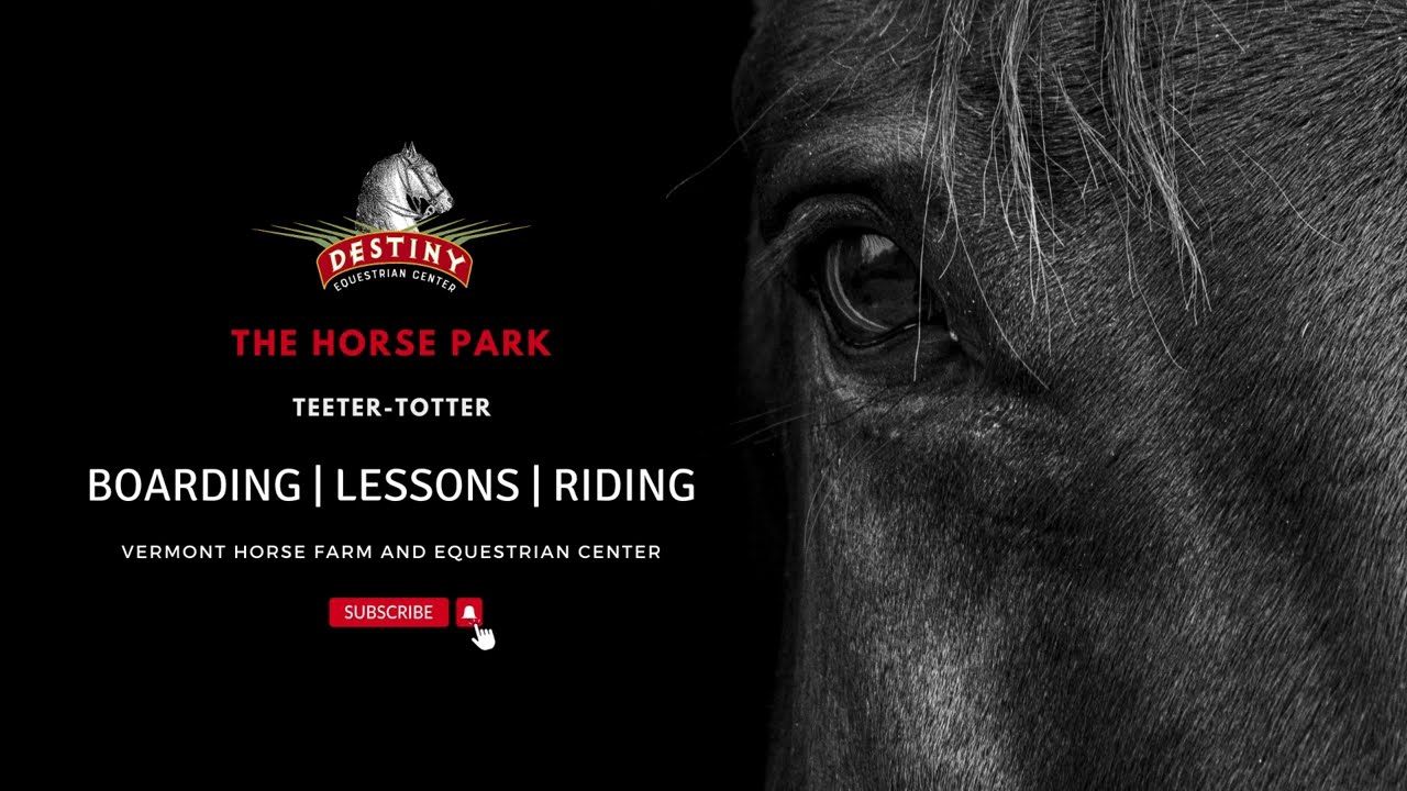 Trail Obstacle ProblemSolving Destiny Horse Park