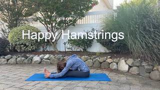 Hamstring Release Yoga | Sitting All Day Try This