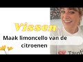 Vissen Maak Limoncello van de citroenen augustus 25 lartistic6924@gmail.com