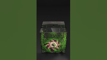 Cylinder brot - Mandelbrot Landscape No.88 #Shorts