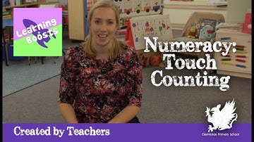 11. Numeracy - Touch counting