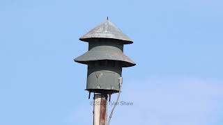 Federal Signal Model 7A (failed to activate) - Shelton, Nebraska