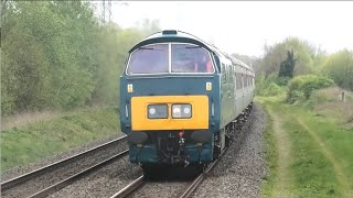 D1015 Western Champion \& 57303 on The One Way Wizzo around the Thames Valley 14\/04\/24