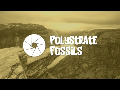 Polystrate Fossils