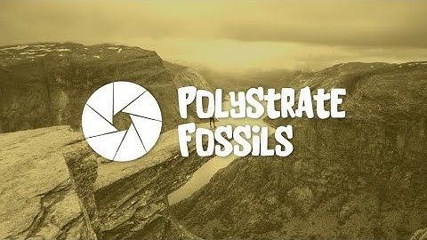 Polystrate Fossils